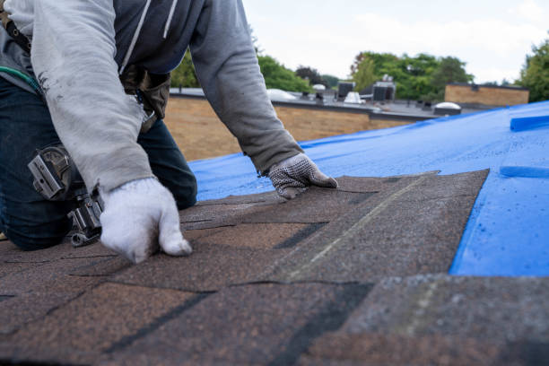 Best Metal Roofing Contractor  in Providence, KY