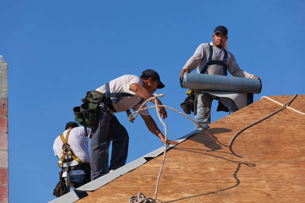 Best Commercial Roofing Services  in Providence, KY