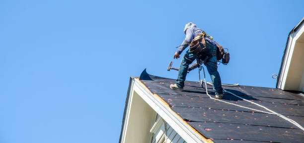 Best Flat Roof Repair Services  in Providence, KY